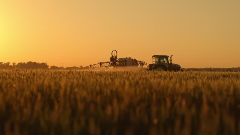 Imagem ilustrativa sobre colheita